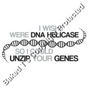 I wish I were DNA Helicase