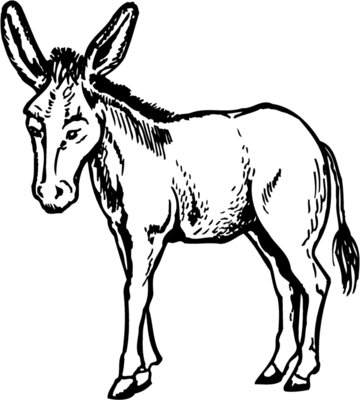 BURRO001