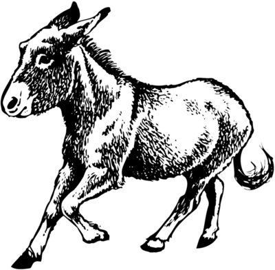 BURRO011