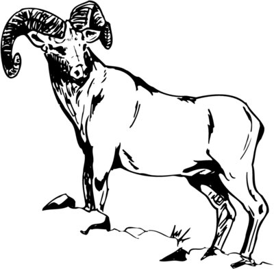 RAM013